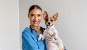 Vet-and-dog