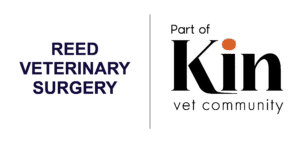 Kin Logos12