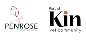 Kin Logos8