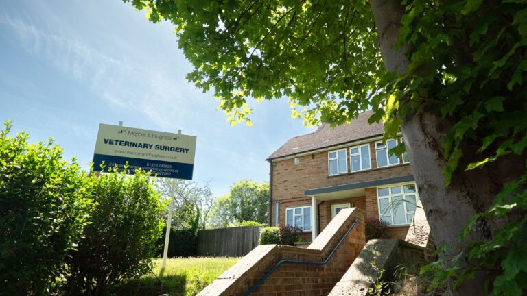 Untitled design 38 768x432