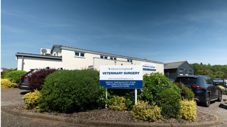 Untitled design 40 768x432