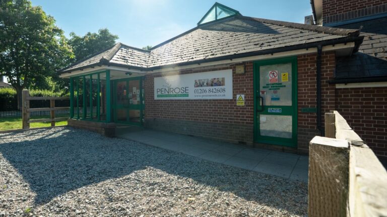 Untitled design 48 768x432