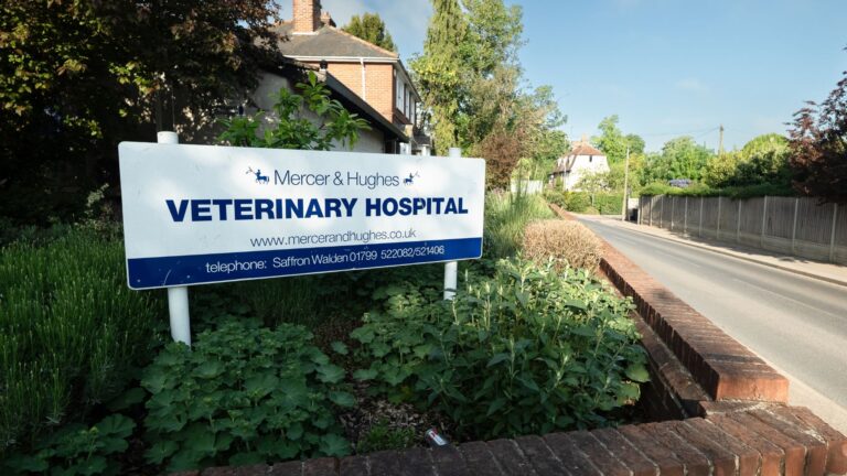 Untitled design 51 768x432