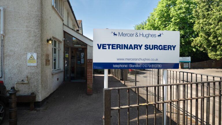 Untitled design 52 768x432